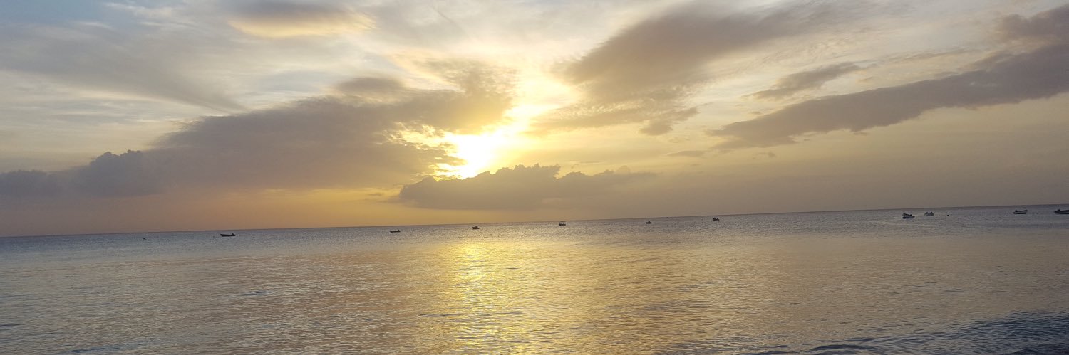 Alexa Turn me on. #neverlabour banner