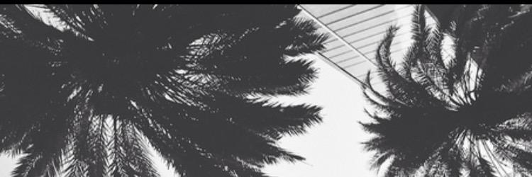 elyannex's profile banner image