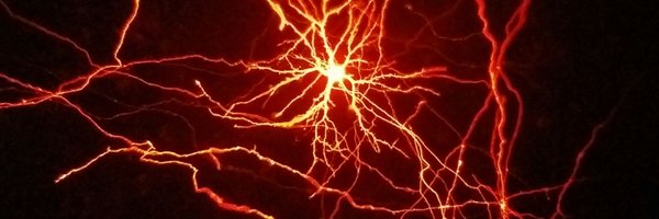 M__Mahn Profile Banner