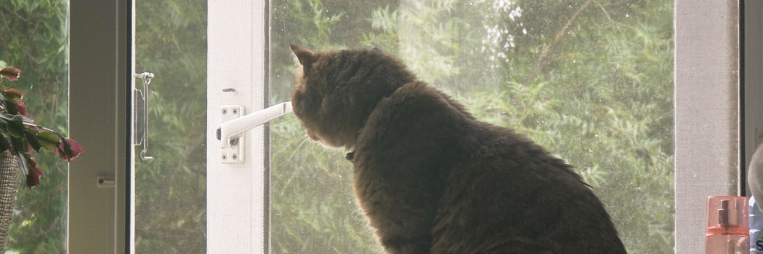 MartijnBz's profile banner image