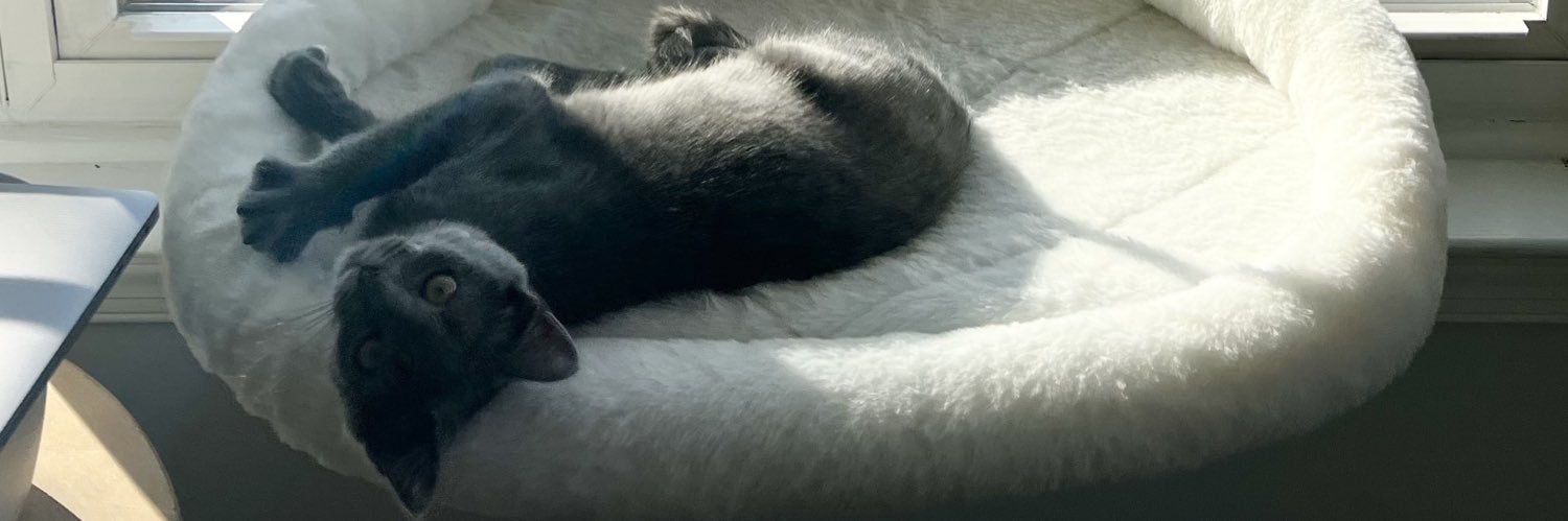 brittnygalll's profile banner image