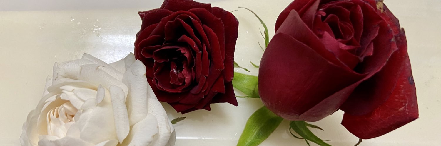 rigundo's profile banner image