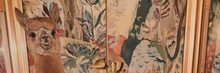 Jocelyn Silver banner