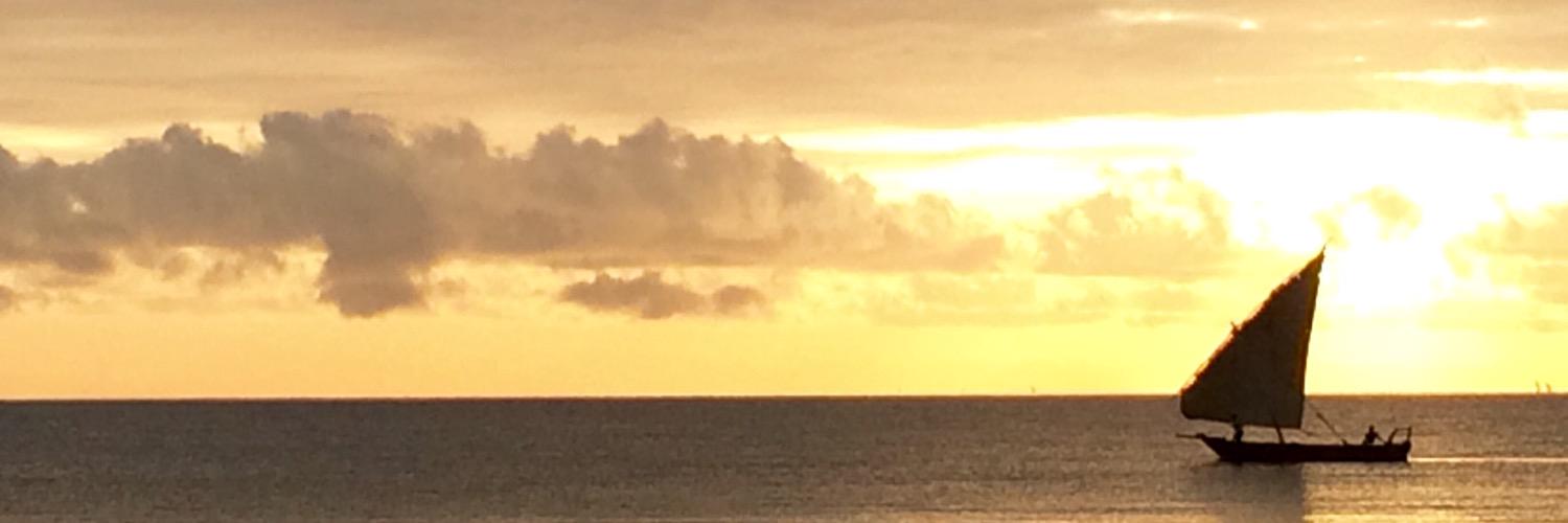 shiko_m's profile banner image