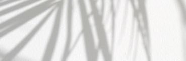 MeganeRcd's profile banner image