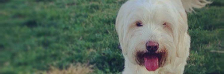 Sandruska23's profile banner image
