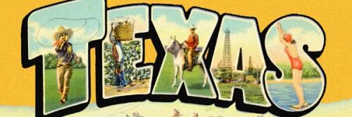 The Texas Capitol banner