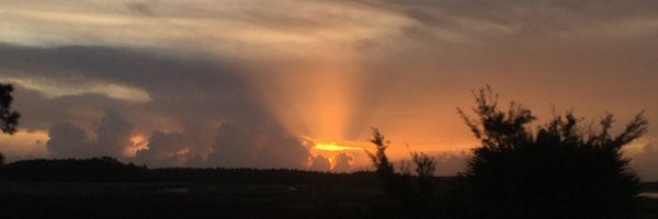 JenDelPapa Profile Banner