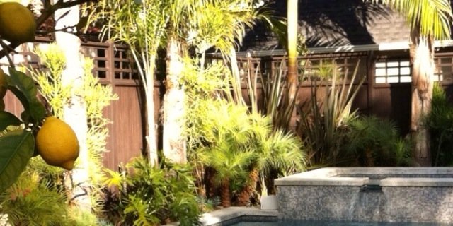 Jax Steele banner