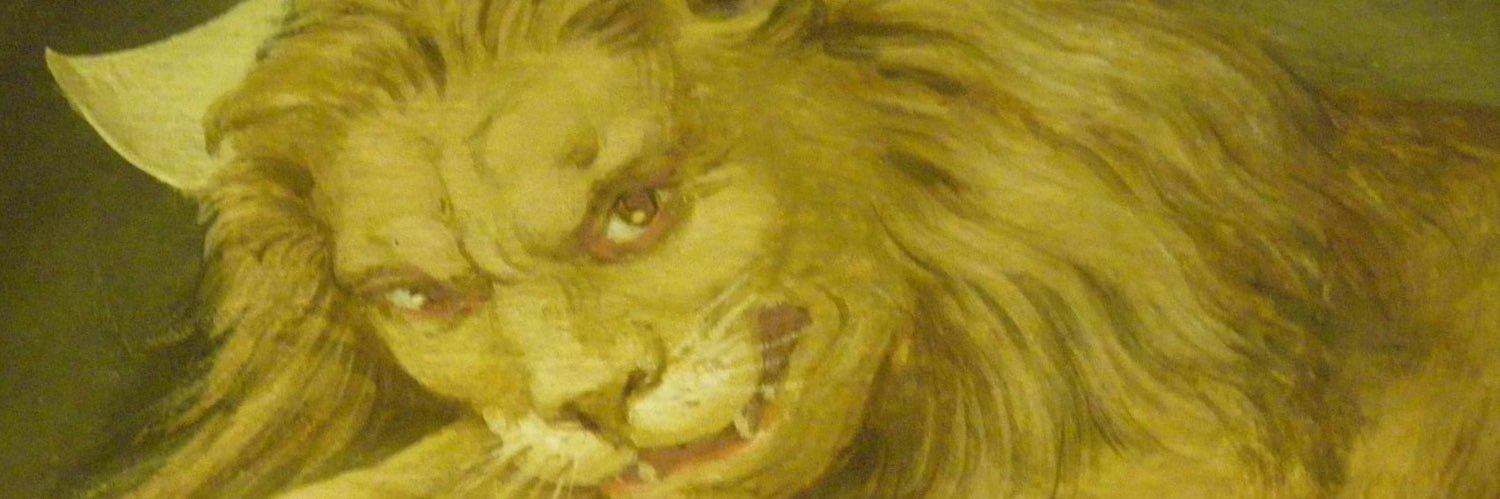 neirayas's profile banner image