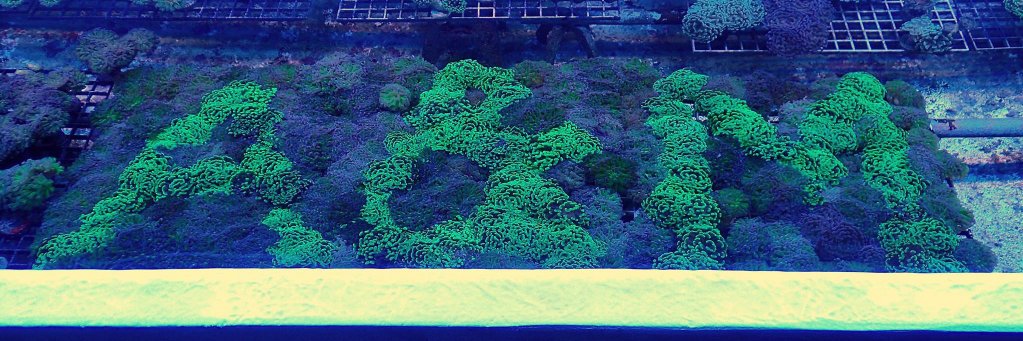 AMAquatics's profile banner image