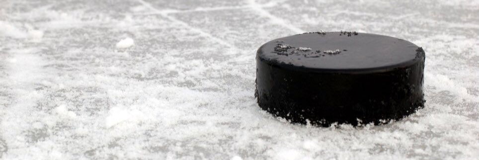 HockeyMonkey's profile banner image