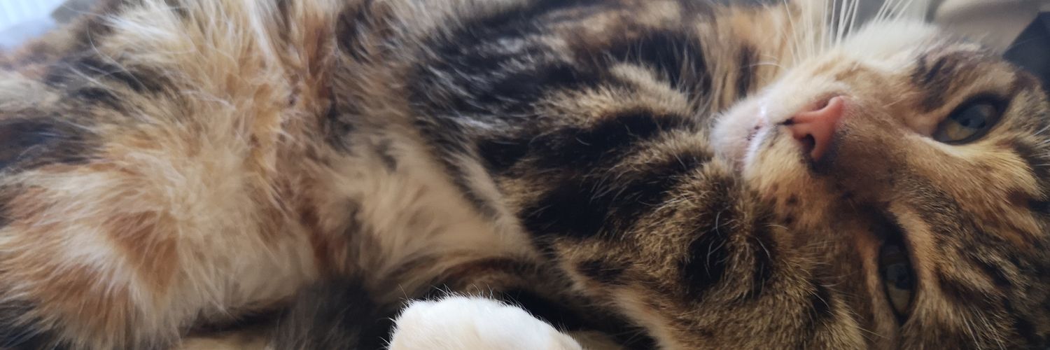 jesssangerx's profile banner image