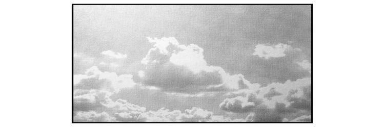 AshDrosa 🌸 banner