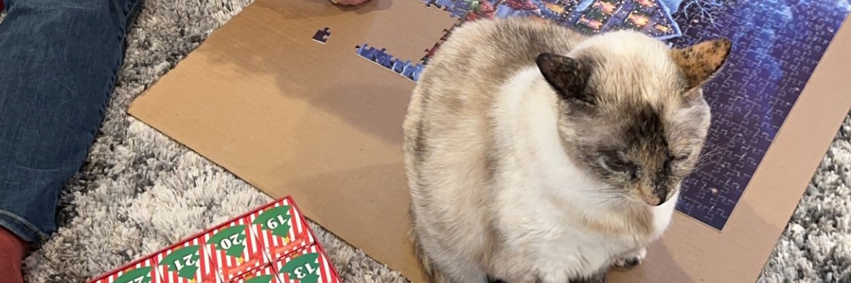 cartwrightcat's profile banner image