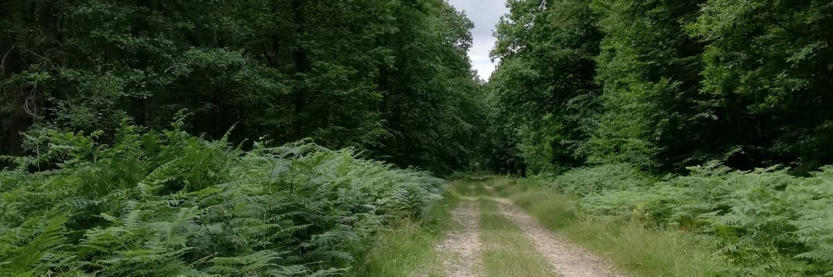 jean161c's profile banner image