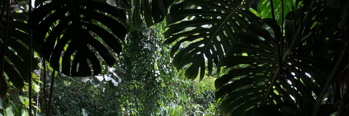lizzipaul's profile banner image