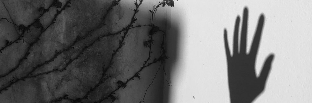 vmatteini__'s profile banner image