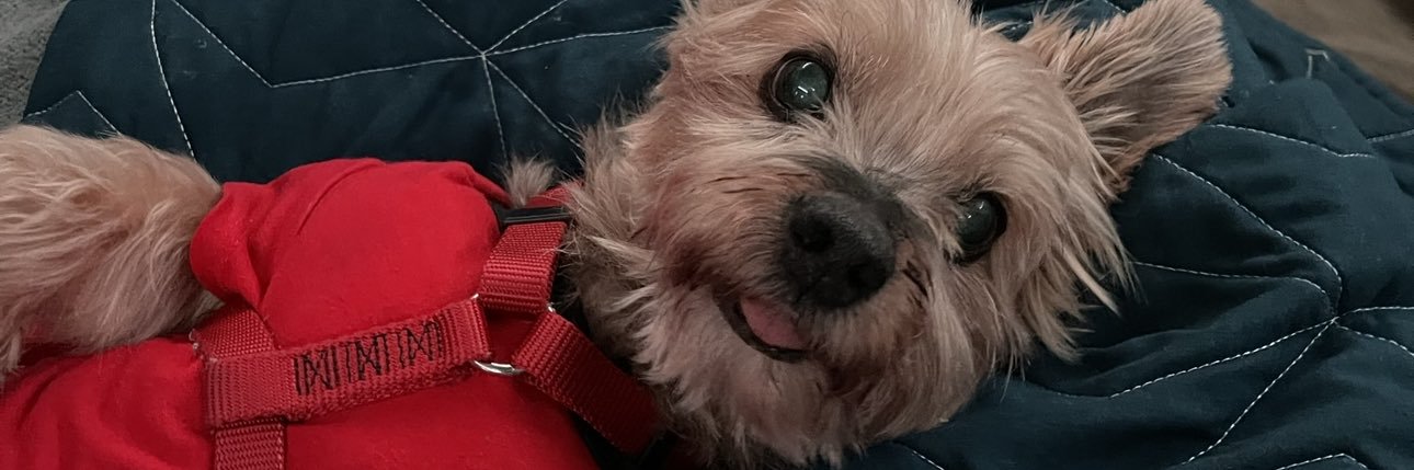 MonksAperture's profile banner image