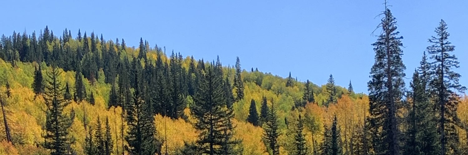 DedeBell_'s profile banner image
