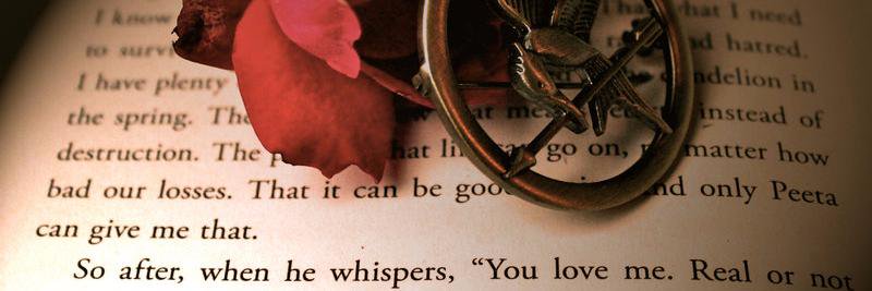 anefurstin's profile banner image