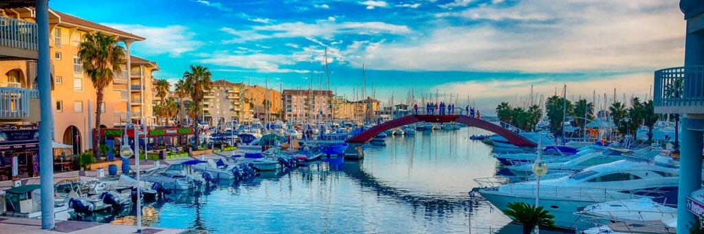 Mᴇʜᴅɪ C. banner