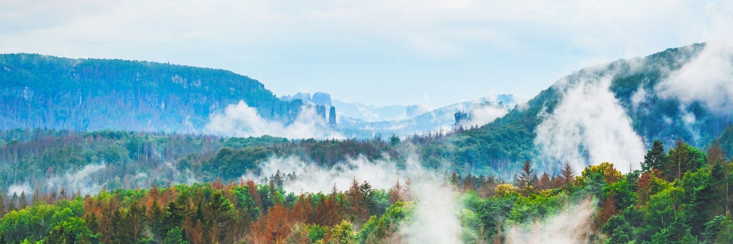 japsi_1996's profile banner image