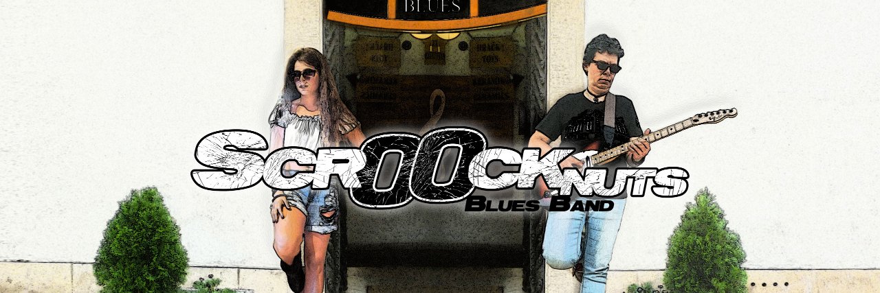 Scrooknuts's profile banner image