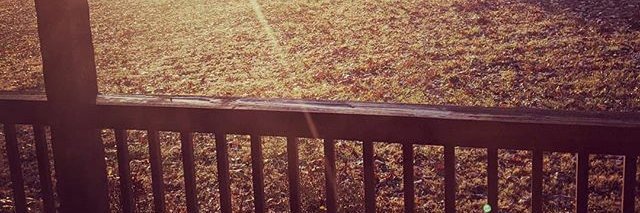 bigshafe's profile banner image