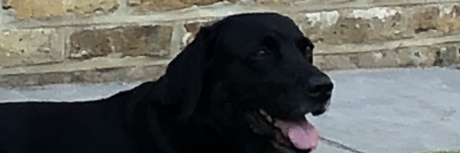 Dougie_Anderson's profile banner image