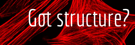 GOTSTRUCTURE's profile banner image