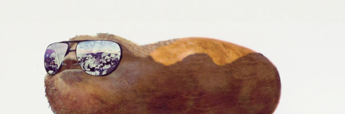 roymanpr's profile banner image