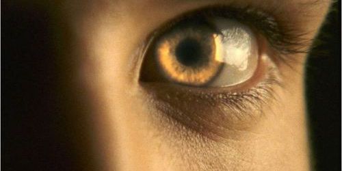 OperationSaveM's profile banner image