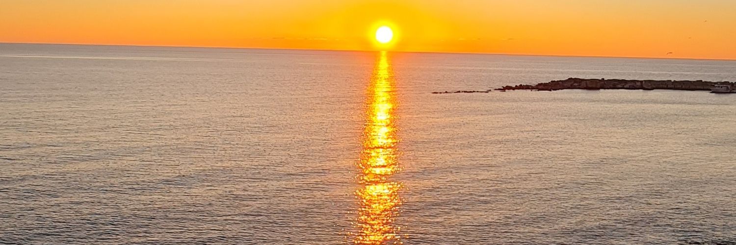 Stranymal's profile banner image