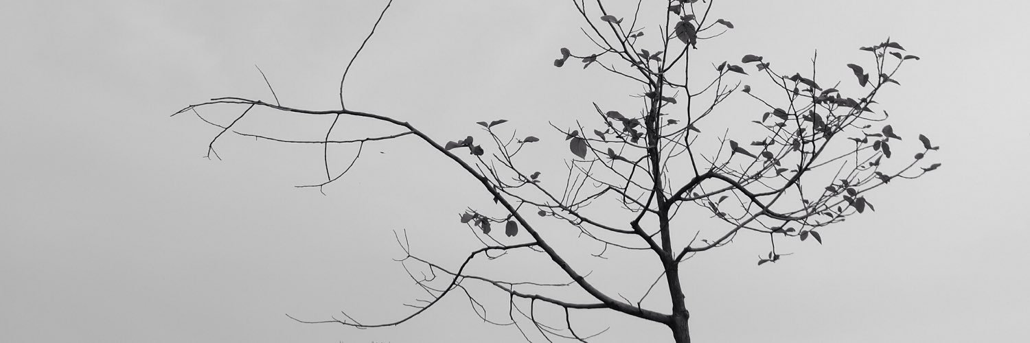 thgssssssss's profile banner image