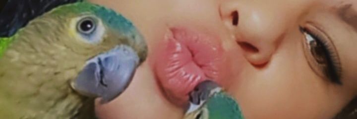 nilrem32's profile banner image