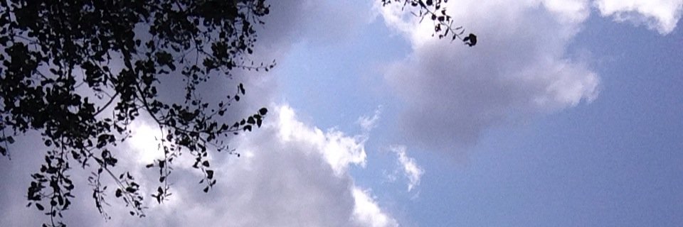 sky_jane32's profile banner image