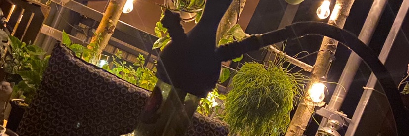 Robbsonft's profile banner image