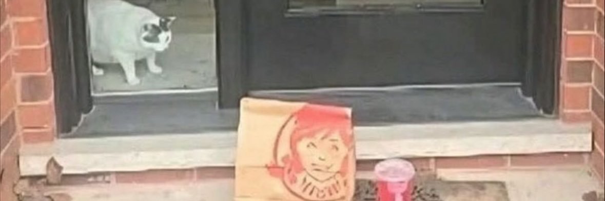 soup banner