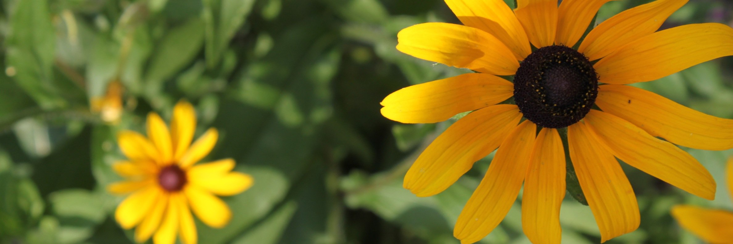 ShanFrancisco's profile banner image