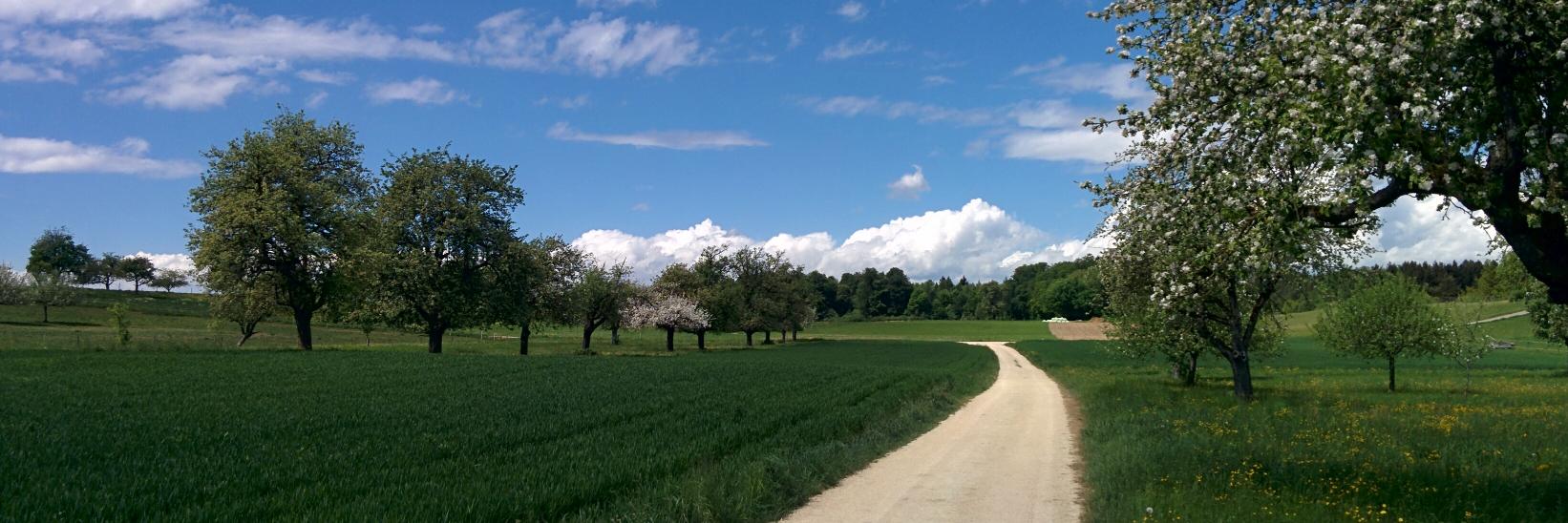 s_hubenschmid's profile banner image