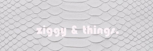 ziggyandthings Profile Banner