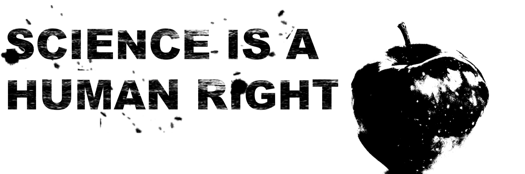 tankeexperiment's profile banner image