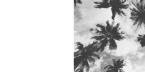 AraaK_'s profile banner image