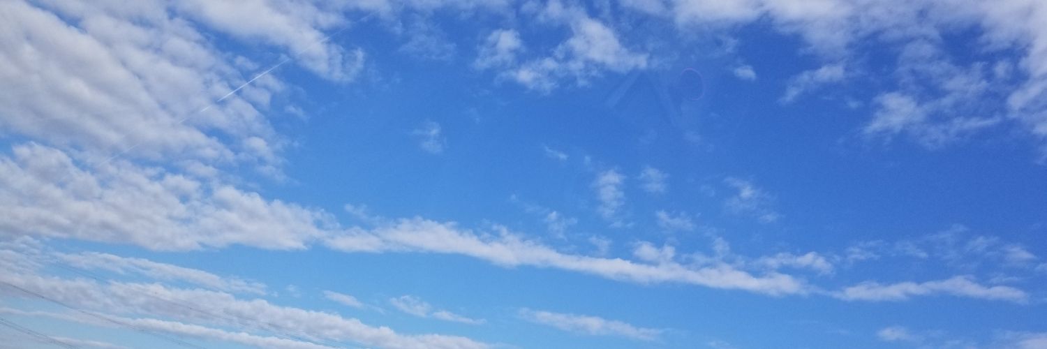 bassocchan's profile banner image
