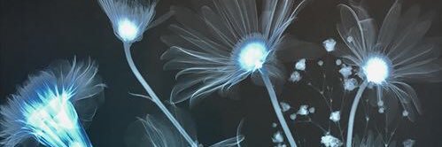 Zakariarei's profile banner image