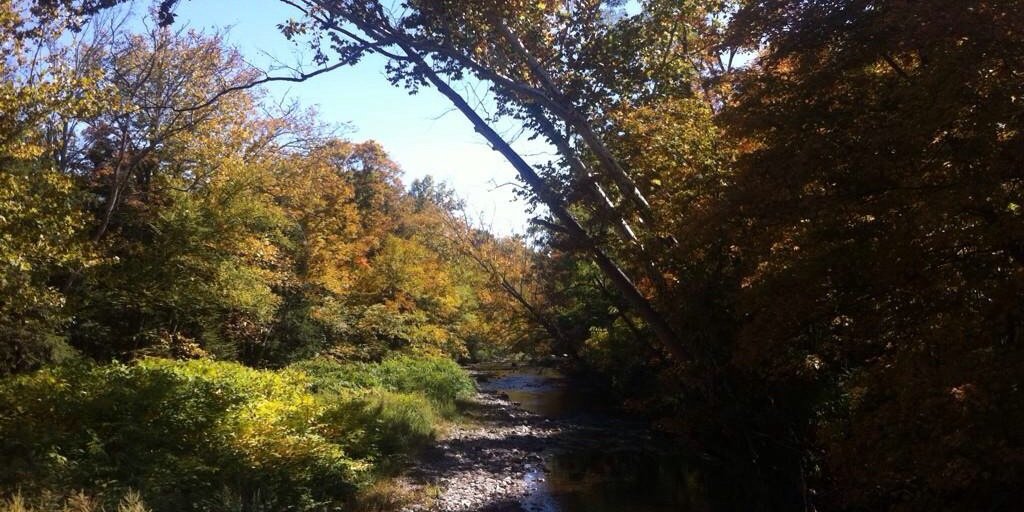 EricFrein_'s profile banner image