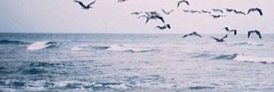 ftototo07's profile banner image