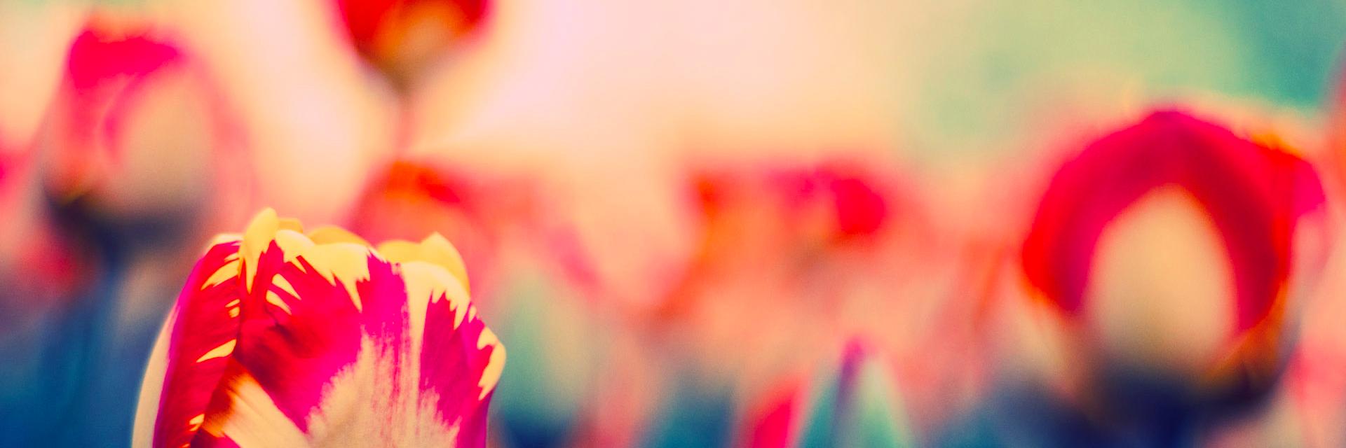 DrMichelleLevy's profile banner image