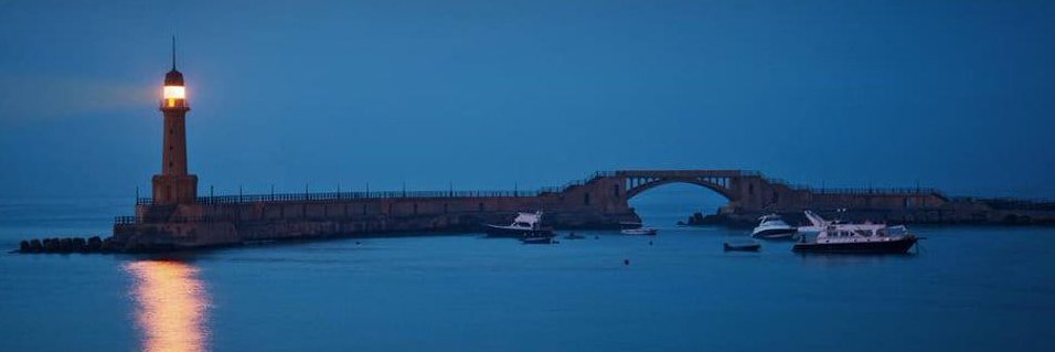 البروفيسور برجل™ banner